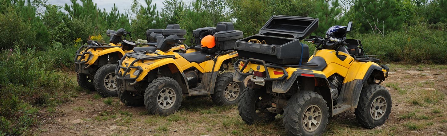 Offroad Vehicles